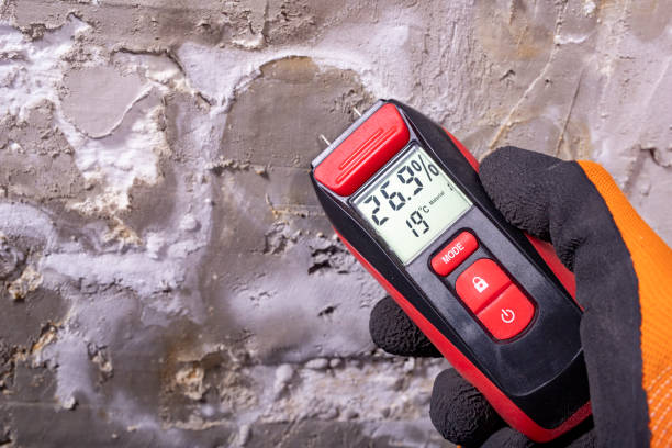 Best Crawl Space Mold Removal  in North Baltimore, OH