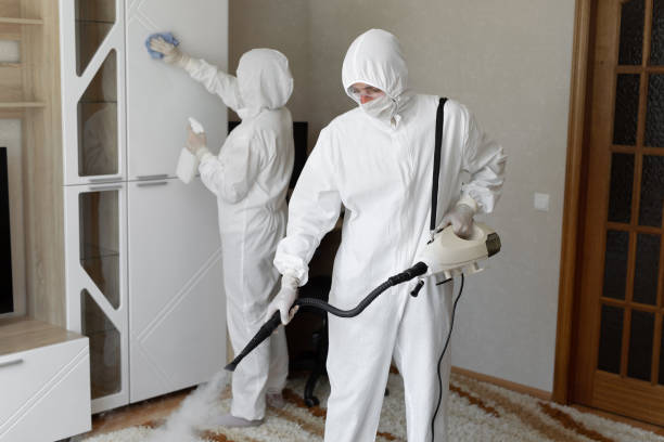 Home Mold Removal in North Baltimore, OH