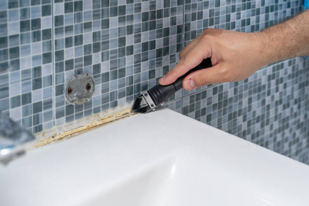 Best Mold Removal Near Me  in North Baltimore, OH