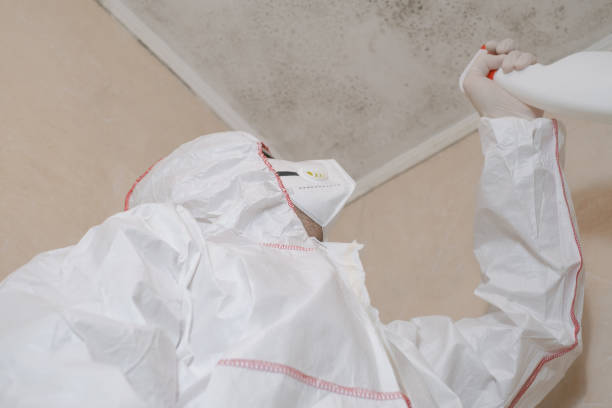 Best Residential Mold Removal  in North Baltimore, OH